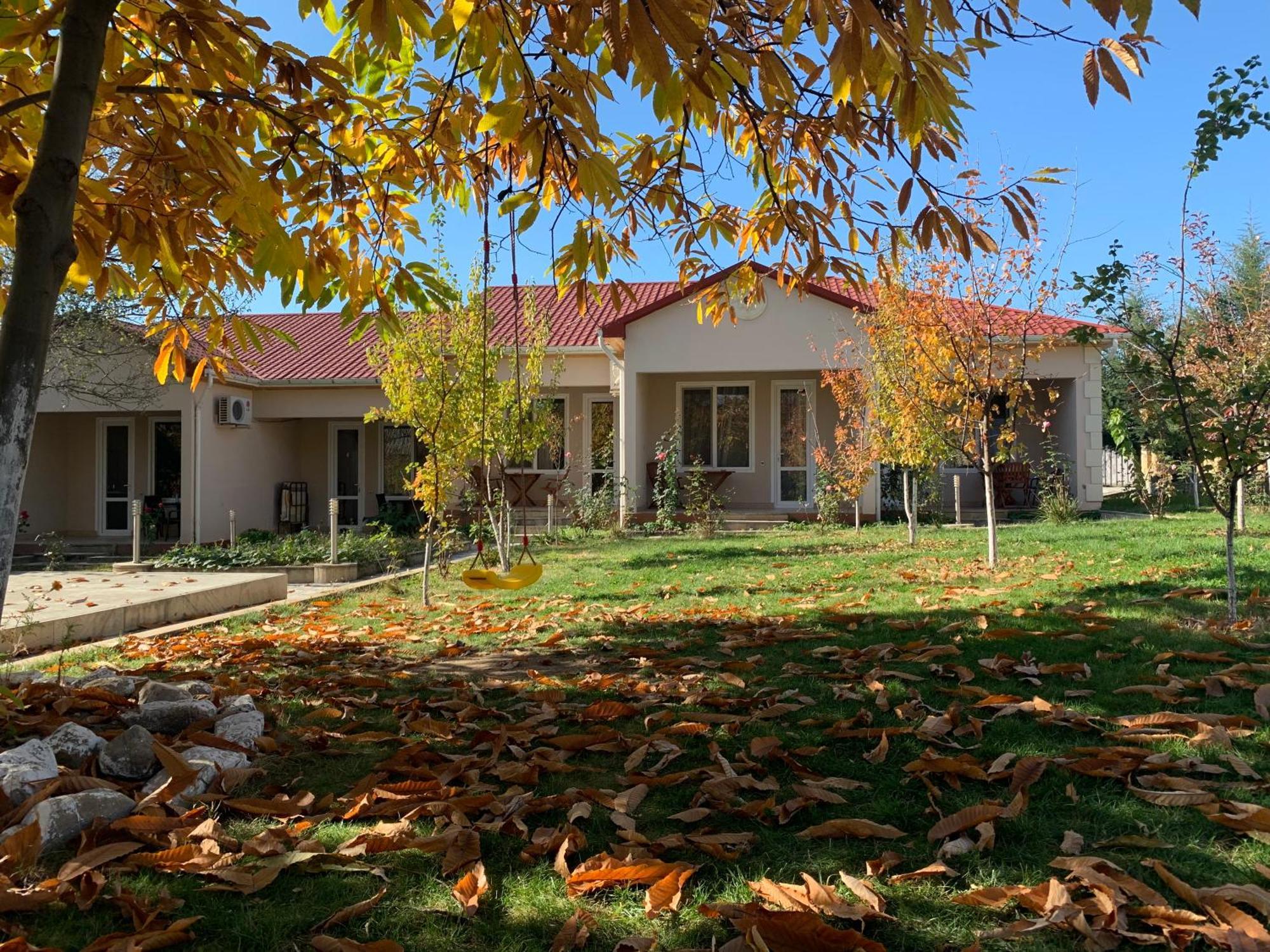 Cozy Family Cottages Vendam Exterior photo